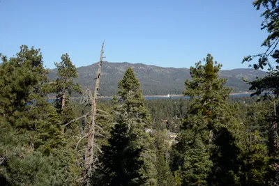 DSC_5086 (Large).JPG